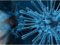 Памятка: 7 шагов по профилактике коронавируса